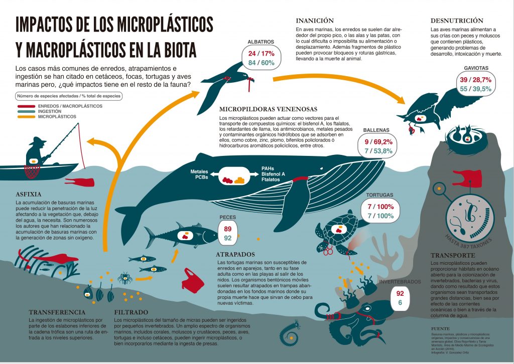 Volvemos al IMEF de San Roque con nueva información sobre  microplásticos